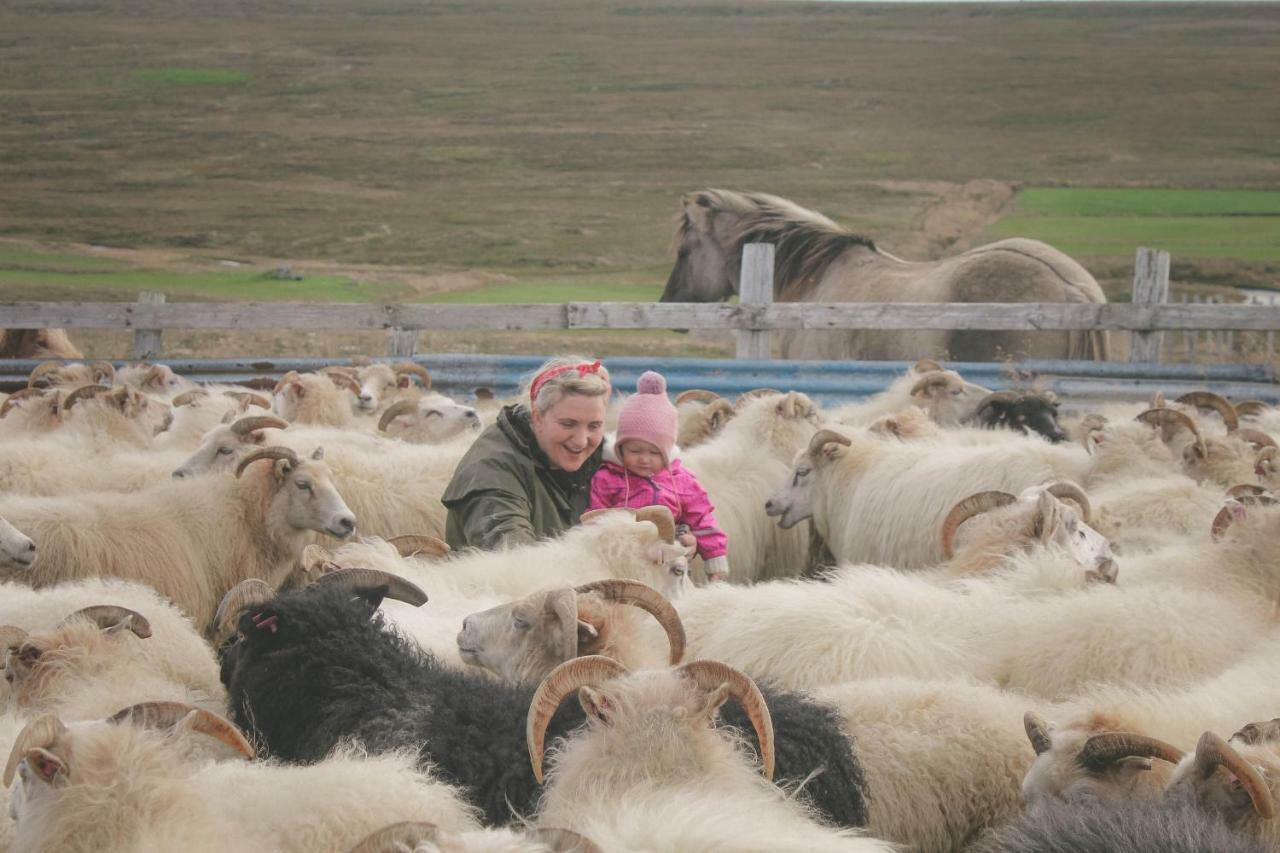 Sandur Þórshöfn Zewnętrze zdjęcie