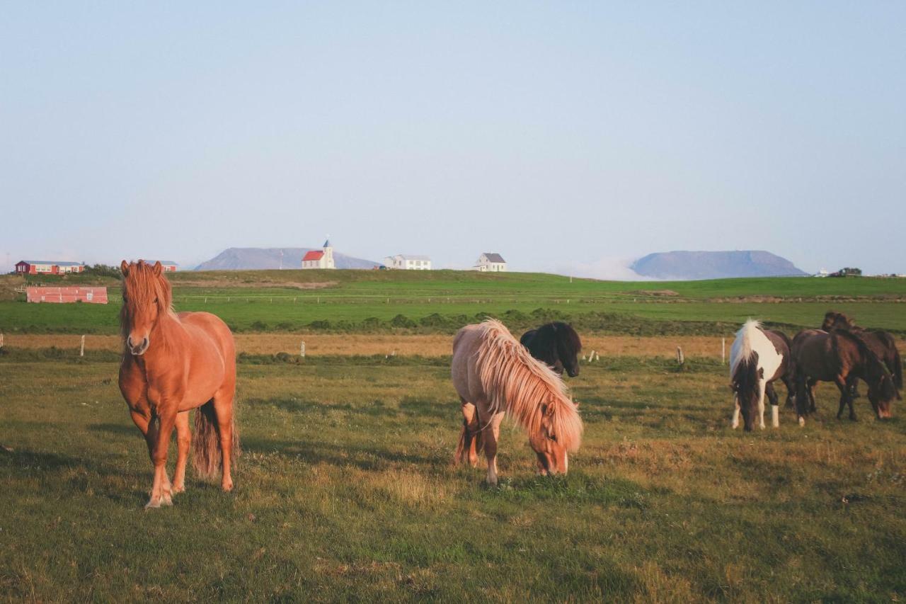 Sandur Þórshöfn Zewnętrze zdjęcie